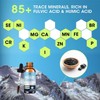 Mabefy 2Pack Organic Himalayan Shilajit Natural Supplement Extremely Potent Fulvic