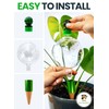 16 Oz. Plant Watering Globes For Indoor Plants With Terracotta