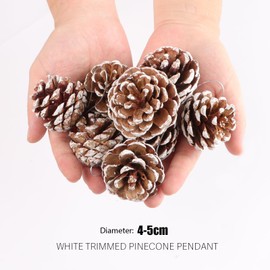 BETESSIN Pack of 18 Large Pine Cones - Approx. 4-5 cm Pine Cones with Snow Covered Effect - Pine Cones for Crafts and Hanging - Cones Decoration for Christmas Tree, Advent Wreath, Christmas Decoration