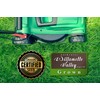 Kentucky 31 K31 Tall Fescue Grass Seed by Eretz -