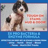 OUT! PetCare Pet Odor & Stain Remover Spray, Carpet &