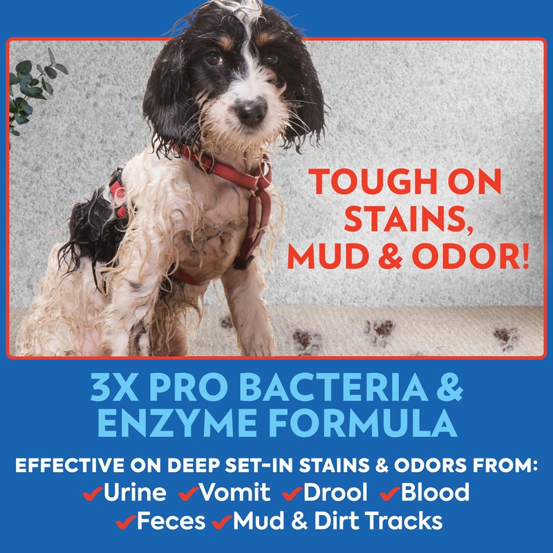 OUT! PetCare Pet Odor & Stain Remover Spray, Carpet &