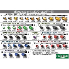 POSH Motorcycle Supplies Handlebar End Middle Weight Bar End Kawasaki Genuine Handle M8 Type ZRX1200DAEG Other Titanium 032579-11-10 Bar End Cap