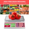 CAMRY Digital Price Computing Scale 66lb/30kg Commercial Produce Scale with