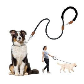 2M Nylon-Hundeleine mit Verstellbarem Halsband, Robust und Reflektierend für Nächtliche Spaziergänge und Jogging - Ideal für Große Hunde