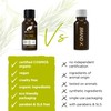 Dr.Organic Tea Tree Soluzione Unghie 10 ml