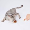 Petio Loofah Leather Dental Toy for Cats, Orange