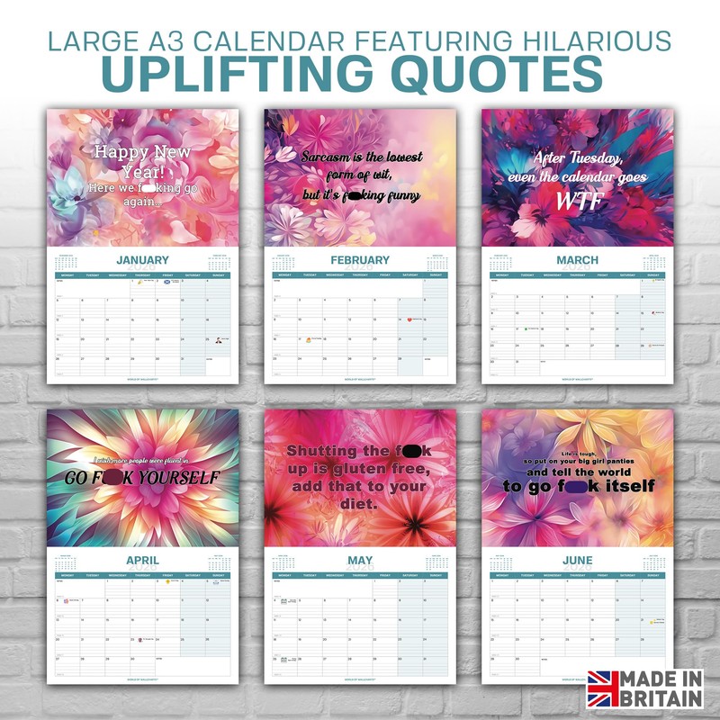 2026 Wall Calendar Joke Gifts For Her - Month to