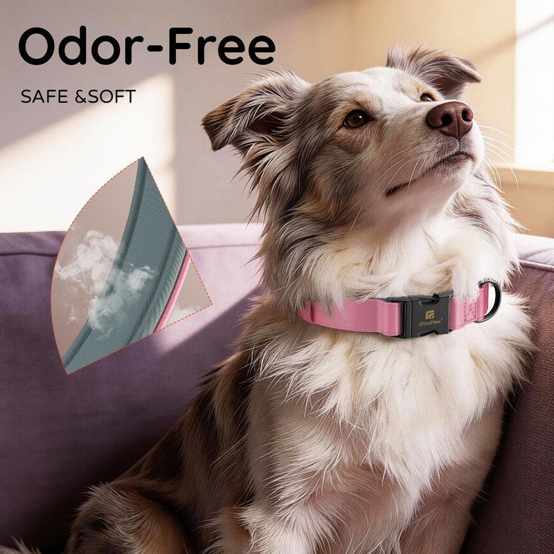 ILFINDYOU Premium Leather Dog Collar, Dog Collars for Medium Dogs,