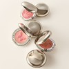 Chantecaille Philanthropy Cheek Shade Collection 2.5g - Grace with Turtle