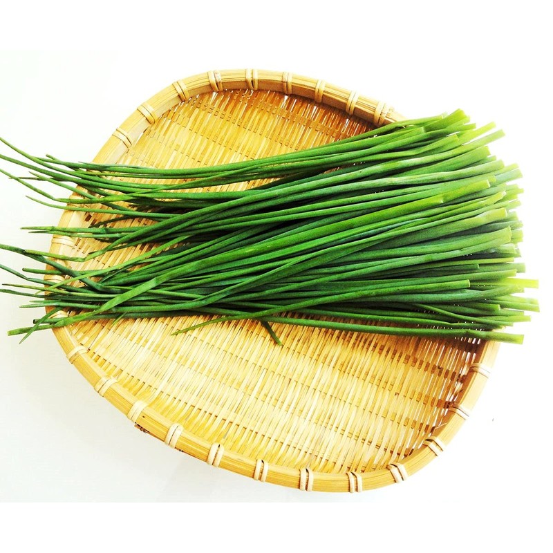 Chives Allium Schoenoprasum Wild Onion Wild Garlic Herb Garden Seeds