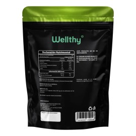 Wellthy Ácido Alfa Lipoico 600mg 120 Caps Non Gmo Sin sabor