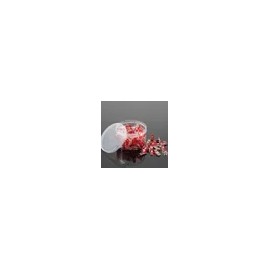Pickle Lip Clip Office White Mini Count 150 Count for daily makeup and personal care, portable beauty accessory, Korean Import, Pickle and Care