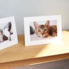 Monolike Standing Paper Photo Frame White 4x6 Standing Paper Frame