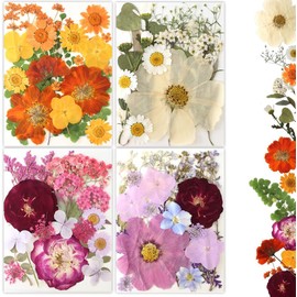 80 Piezas Flores Prensadas, Flores Secas Flores Prensadas Naturales a Granel para Moldes de Resina, Arte de Uñas, Scrapbooking, Portavelas, Fabricación de Joyas, Flores Prensadas Secas Reales