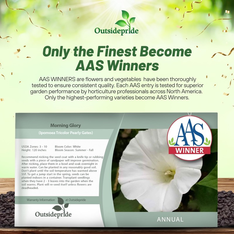 Outsidepride Pearly Gates Morning Glory Seeds - 250 pcs Annual