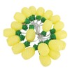 9.8ft 20LEDs Fruit String Lights Battery Operated String Lights for