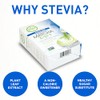 Aiya Sugar-Free Matcha To Go Sticks - Premium Japanese Matcha