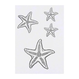 4 x 'Beautiful Starfish' Temporary Tattoos - Water Resistant, Skin-Safe, Non-Toxic Transfers, Mixed Sizes (TO00072532)