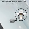 Pop-Up Drain Plug with Screen | Bathtub Plugs | Shower