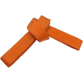 SHIHAN POWER SPORTS Karate Martial Arts Belt Orange 280cm Grading Gym Dojo