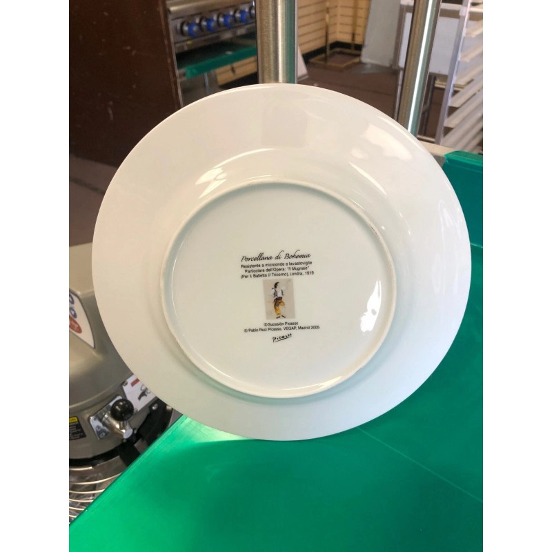 PICASSO DINNER PLATE (DZ)