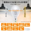GM MBP5W-B LED Bulb (D11 Daylight White) Automatically Illuminated During