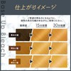 Beauteen Hoyu Hoyu Hair Color with Base Up Bleach Treatment