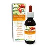 Dog Rose (Rosa Canina) Alcohol-Free Bud Extract from Fresh Buds
