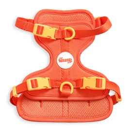 THE LICKER STORE HNS1001A Arlo Small Adjustable Soft Padded No Pull Pet Harness with 3 Buckles and 3 Leash Clips, Aperol