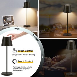 Ralbay IP54 Aluminum Cordless Rechargeable Table Lamp LED Modern Battery Operated 4800mAh Waterproof Portable Stepless Dimmable Desk Lamp for Restaurant/Bedroom/Camping/Outdoor (Black Brush Gold)