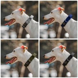 Tough Dog Collars, Tactical Dog Collar with Handle, Milltary Adjustable Dog Collar with Heavy Duty Metal Buckle for Training (Blue, S)