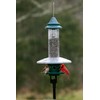 Squirrel Buster Plus Squirrel-proof Bird Feeder w/Cardinal Ring and 6