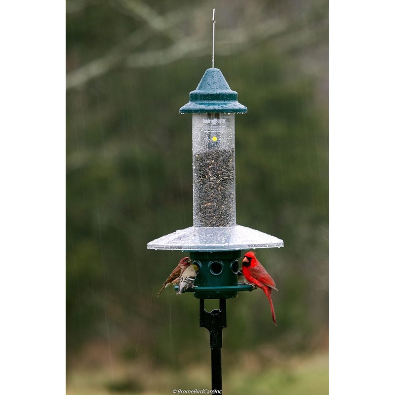 Squirrel Buster Plus Squirrel-proof Bird Feeder w/Cardinal Ring and 6