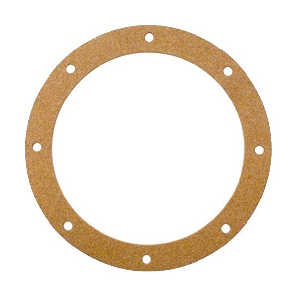 ALA-PT APCG3060 Main Drain Gasket