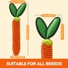 AUSCAT 2PCS Carrot Dog Rope Toy, Durable Braided Teething Toys,