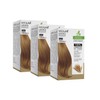 MEILAB Permanent Hair Colour without Ammonia - Pack of 3