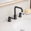Unbranded Widespread Two- Handle Gooseneck Bathroom Faucet in Oil Rubbed