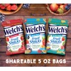 Welch’s Fruit Snacks, Variety Pack With Mixed Fruit, Strawberry &