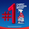Resolve Pet Expert Carpet Spot & Stain Remover Spray, Pet