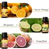 Salubrito Citrus Essential Oils Set for Diffuser, Fragrance Oil |