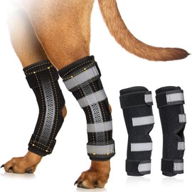 Back Leg Braces for Dogs with Dual Metal Strips and Reflective Straps. This Leg Support is Designed for Issues Like luxating Patella and Serves as an ACL Support for hind Legs. (Black, S)