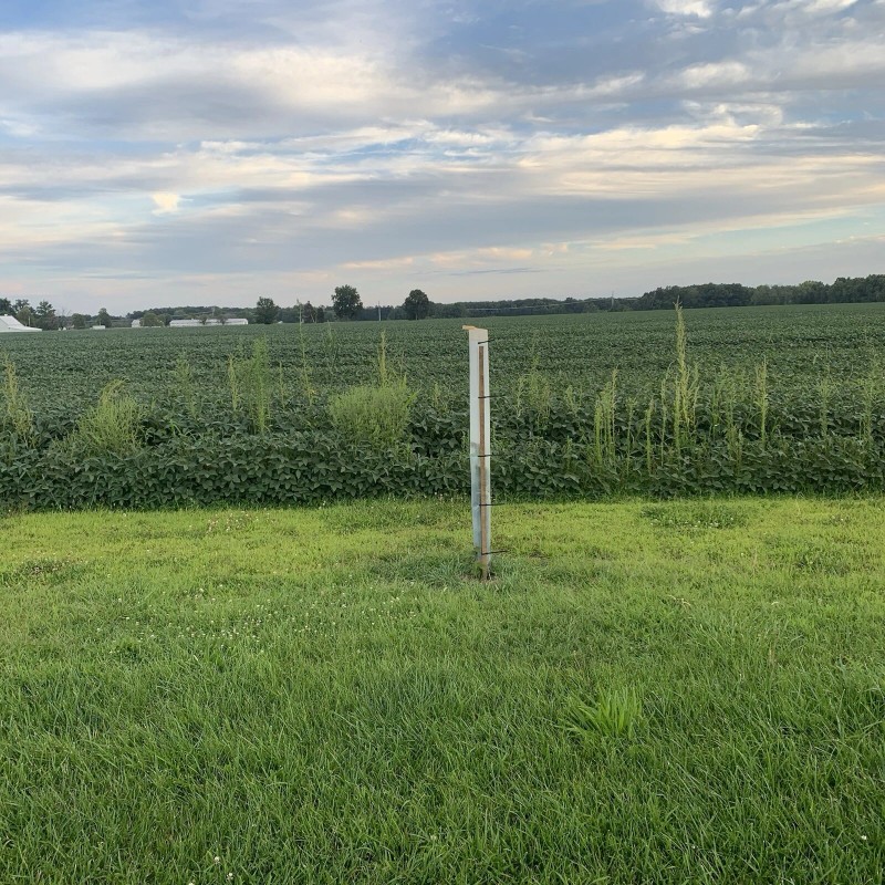 Tree Pro 5 USA Made 60" MIRACLE TUBE TREE PRO