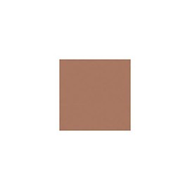 Rosco Roscolux Chocolate, 20" x 24" Color Effects Lighting Filter