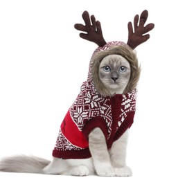 EMUST Dog Christmas Sweaters for Small Dogs, Cat Christmas Sweater with Hoodie Leash Hole, Reindeer Snowflake Sweaters for Dogs and Cats(XS, Red)