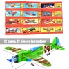 Pack of 12 Gliding Planes Set, Polystyrene Planes, Polystyrene Planes,