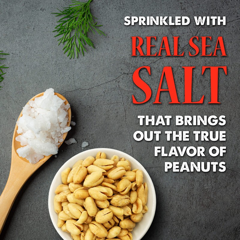 The 1949 Nut Co. Gourmet Salted Virginia Style Peanuts Oil