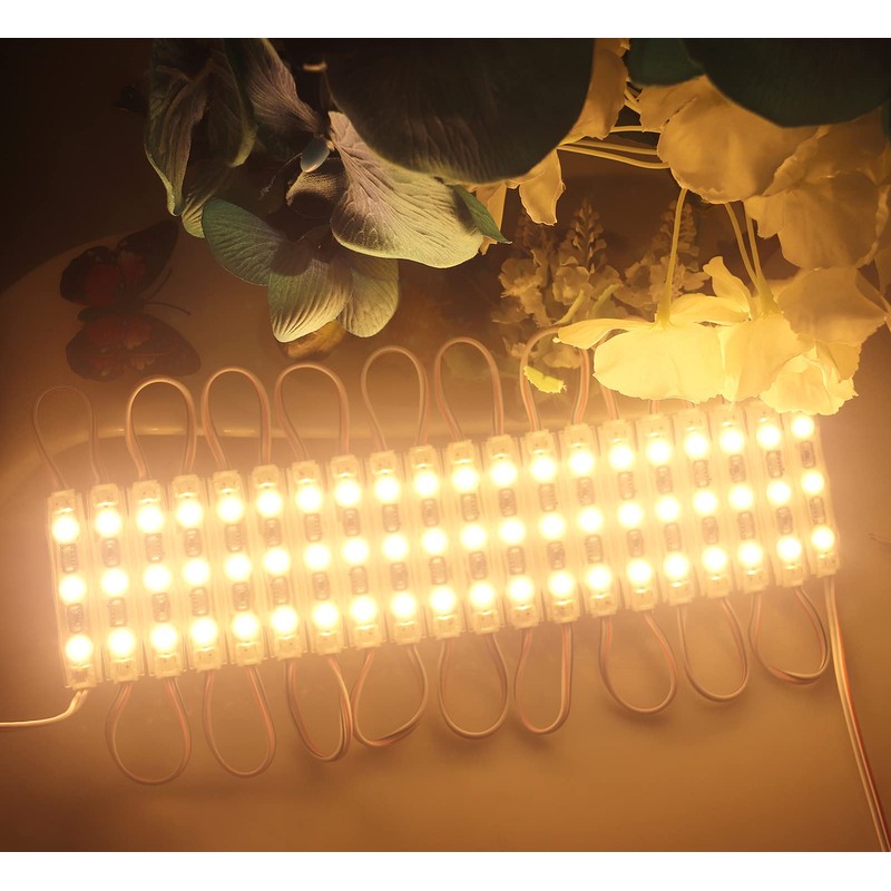 REXTiN Super Bright 200pcs 3 LED Module Warm White 2835