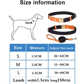 Haoyueer Nylon Dog Collar with Metal Safety Buckle, Adjustable Leather and Nylon for Pet Collars and Leash for Small Medium Large Dogs (M, Grey)