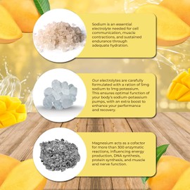 Santa Cruz Paleo Polvo De Electrolitos De Mango Con Sal Marina Y Del Himalaya, Magnesio, Potasio, Sin Azúcar, 30 Porciones 30 Porciones (Paquete De 1)